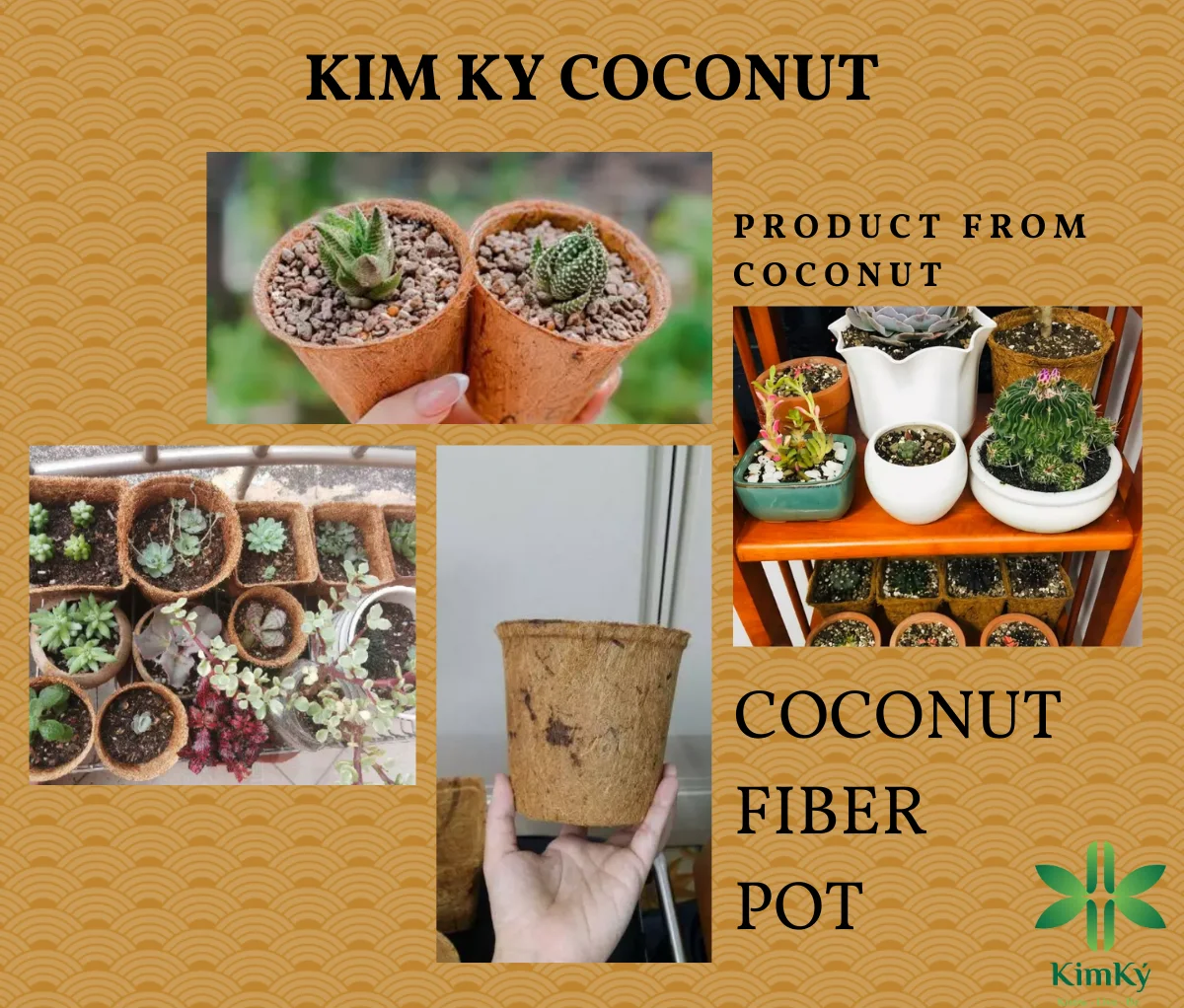 BEST SOLUTION FOR SEEDS PRODUCT COCONUT FIBER POT FOR GARDEN FLOWERS GROWING PLANT HIGH 11.5cm x WIDE 12cm FROM VIETNAM 2024