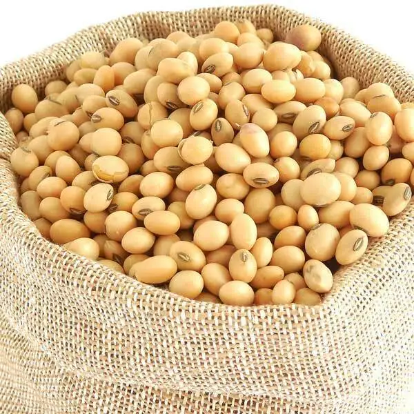 BULK 20 kg ORGANIC NON GMO SOY BEANS - DRIED SOYA BEANS