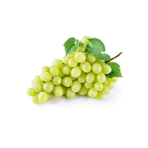 Fresh Grapes, Seedless Grapes Supplier