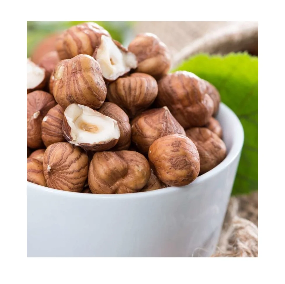Wholesale Supplier of Dried Organic Hazelnuts Bulk Quantity Ready For Export