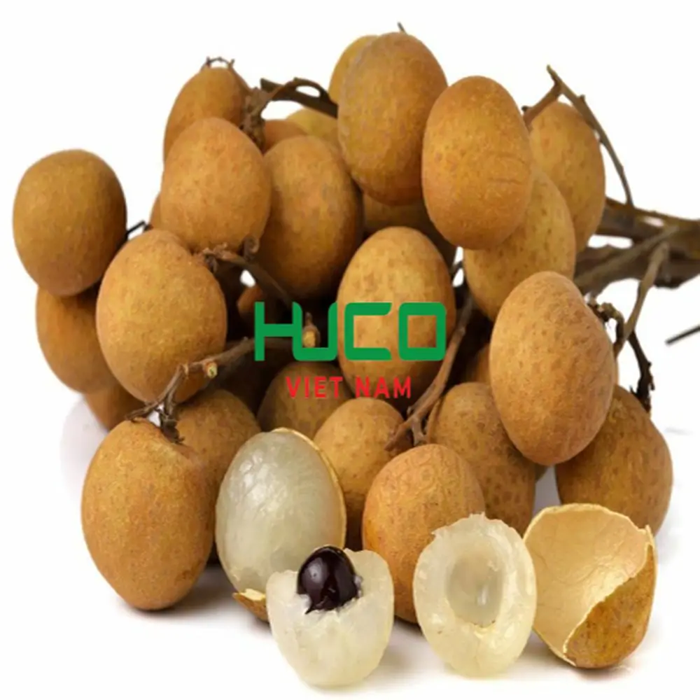 Fresh Longan Tropical Fruit Premium Quality from Vietnam Export Garde And Sweet Delicious