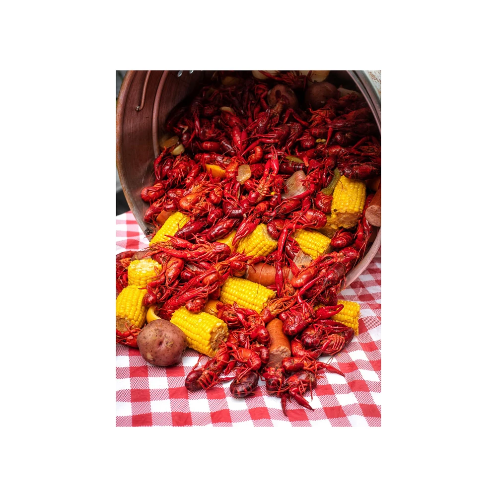 Живые лобстеры/живые пинцевые лобстеры/оптовая продажа живых морепродуктов бразильская упаковка крупными партиями замороженный с сроком годности 12 месяцев 10 кг IQF