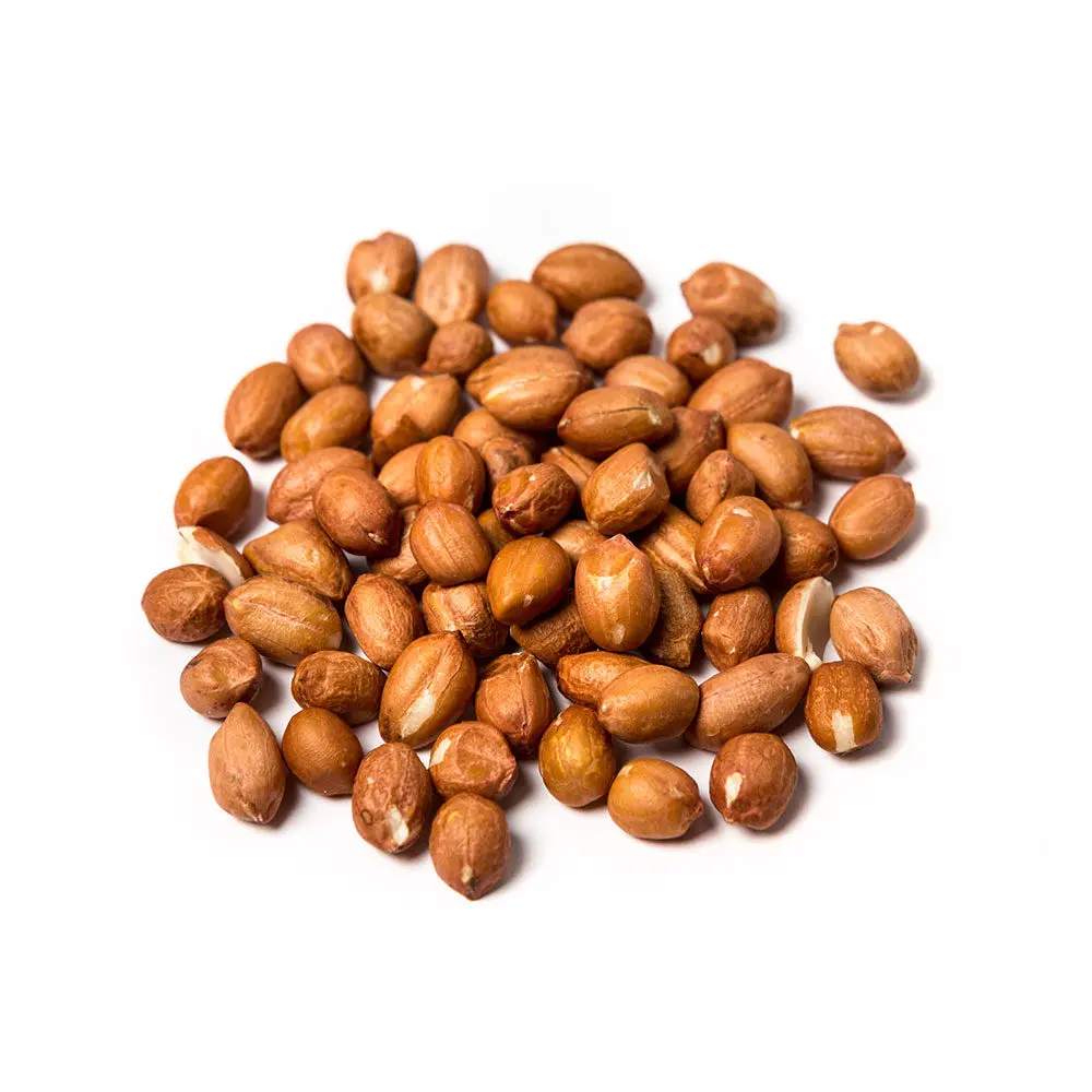 Raw Hazelnuts in Shell Raw Roasted Natural Style Packaging Food Natural Best Price Wholesale From USA