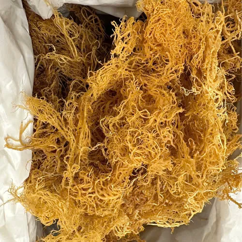 100% Organic Dried Sea Moss Is Handmade From Vietnam with the Criteria of Clean, Nutritious, and Cheap. Quickly Order Now