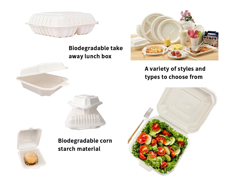 Customized Size Compostable Food Container Disposable Eco Friendly Corn Starch Burger Box for Takeout