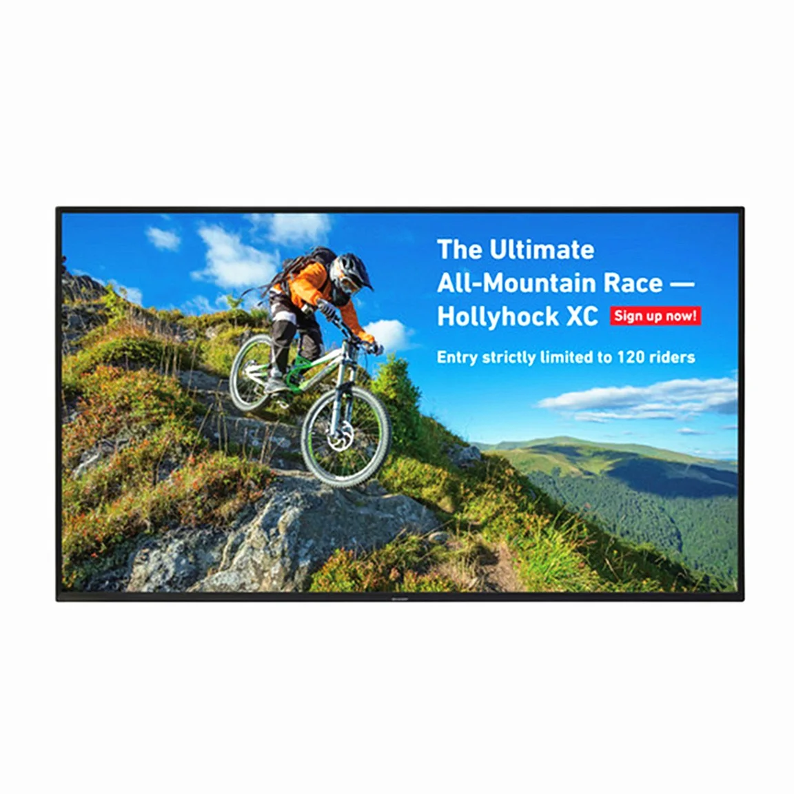 Внутренний настенный Конференц-зал с электронным бумажным дисплеем Digital Signage Android Tablet Lcd