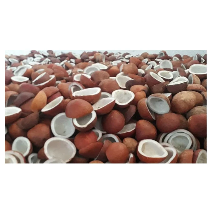 Best Quality Coconut Copra / Dried Coconut