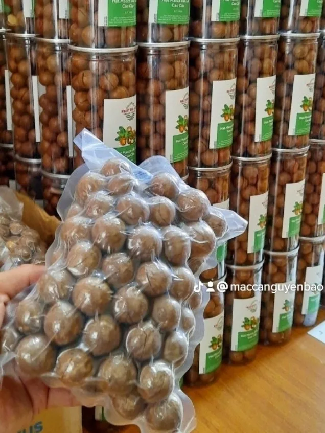 High Quality Macca Nuts Organic Wholesale