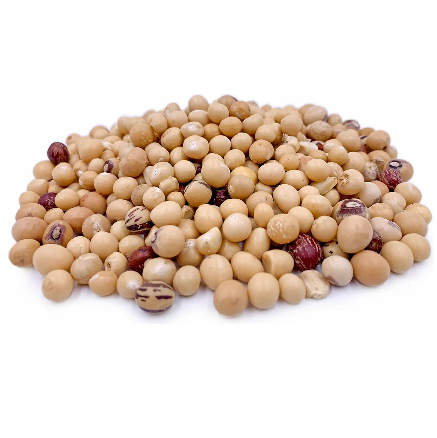 Оптовая продажа, низкая цена, лучшее качество, органические бобы Jugo для продажи, экспорт по всему миру