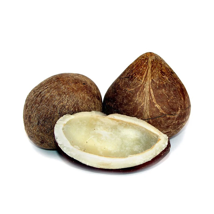 Good Quality Coconut Copra / Whole Dried Coconut