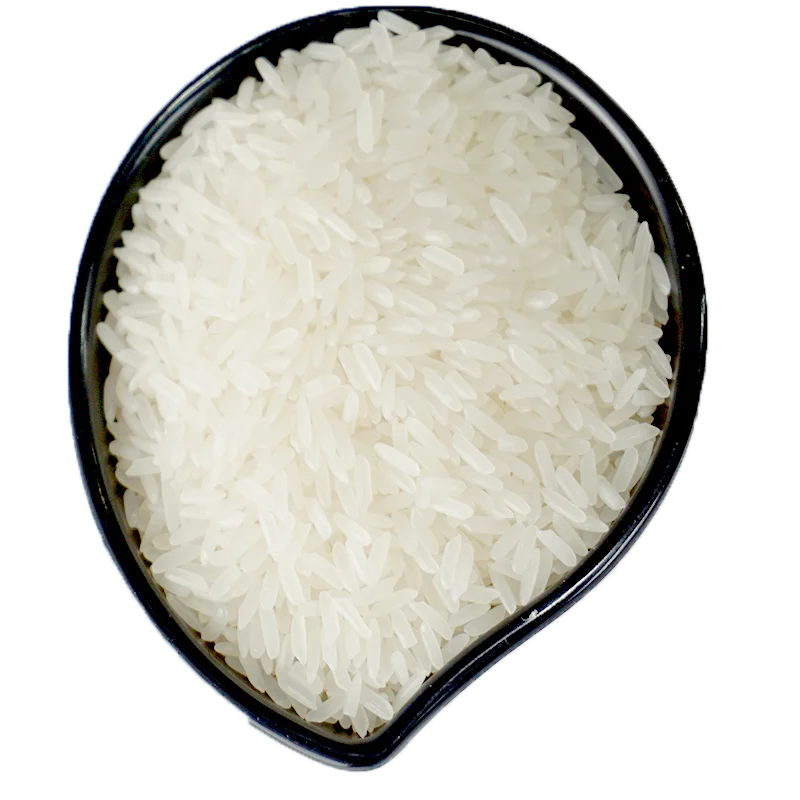 Fast delivery  Short-Grain White Rice 100% Organic Good Price from Viet Nam Jasmine Rice for sale