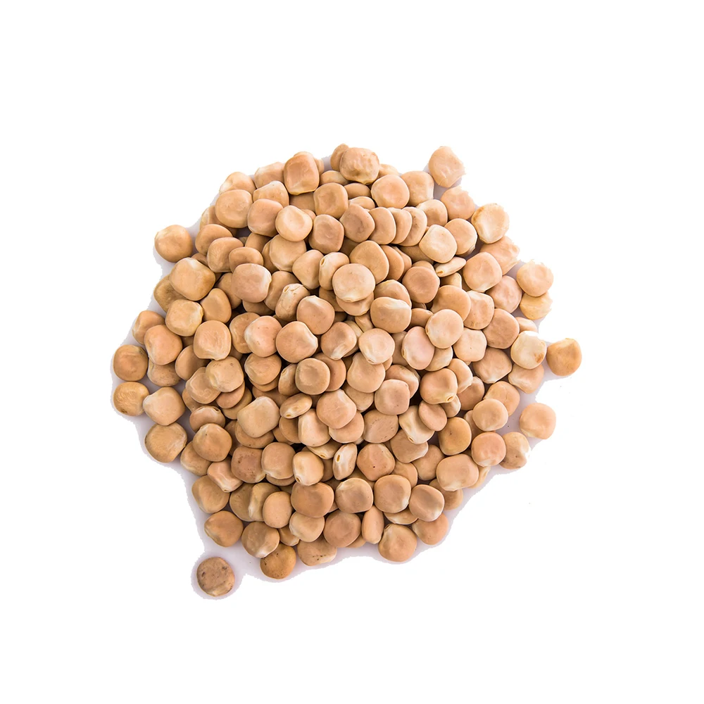 Качество сушеные бобы Люпина для продажи.