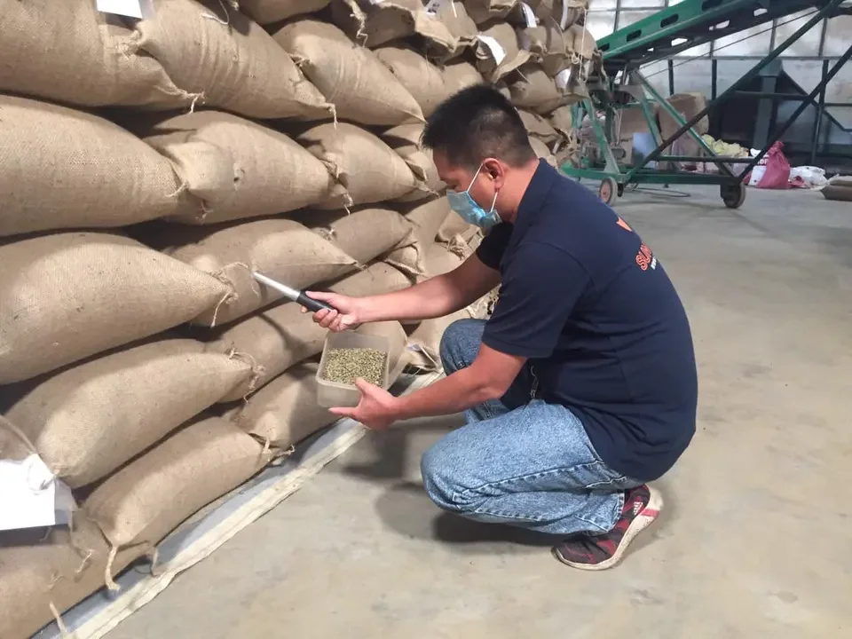 [Crop 2023-2024] Whole Bean Coffee High Quality Raw Coffee Beans Directly from The Farm // Whatsapp:+84-975807426 Lucy