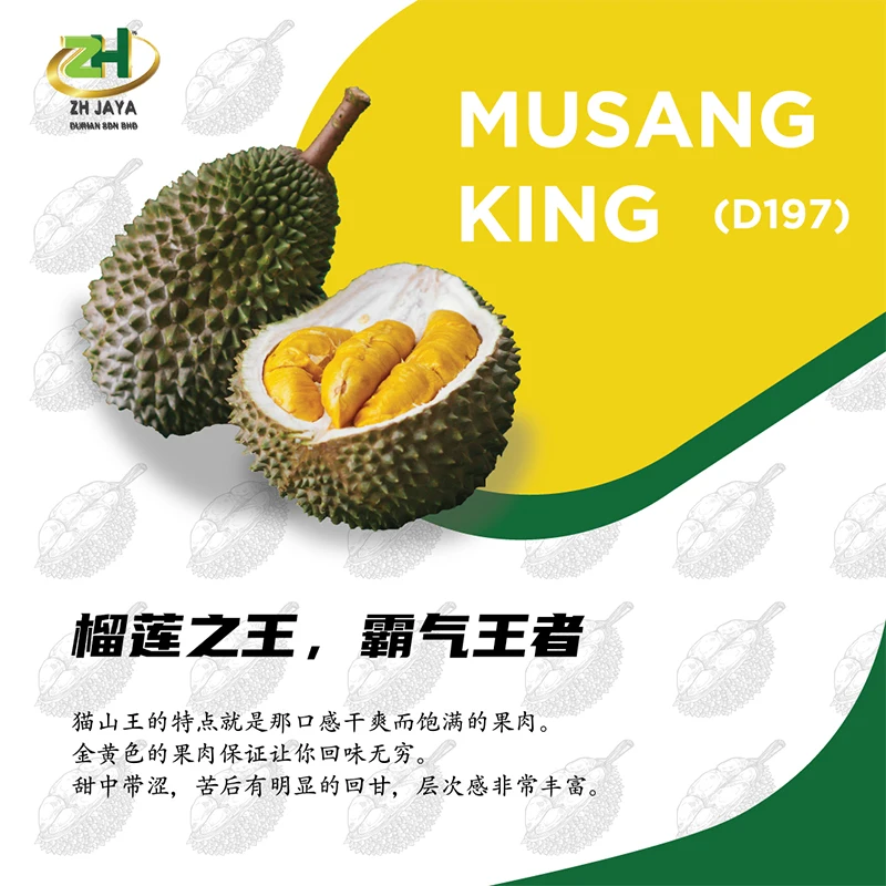 Hottest Price Fresh D197 Musang King Durian (Frozen Fruit Pulp) Prized for Unusual Combination of Bitter and Sweet Flavors
