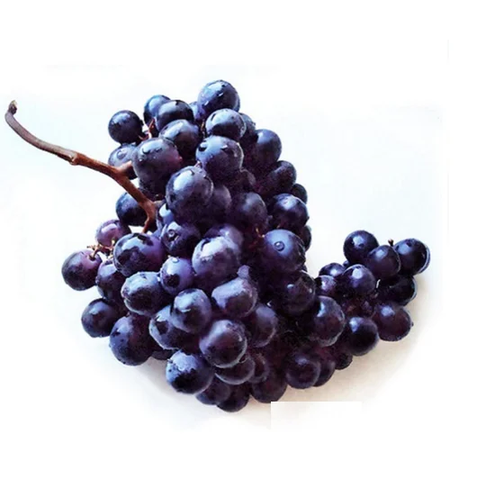 Best Price Top Quality Premium Black Grapes with Good Sweet Content and Flavorful Available  from Indian Exporter