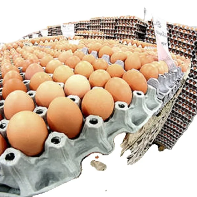 Свежие куриные яйца/круглые настольные яйца для продажи/плодородные инкубационные яйца