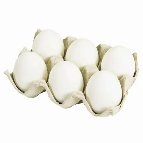 Quality Fresh Chicken Table Eggs Wholesaler