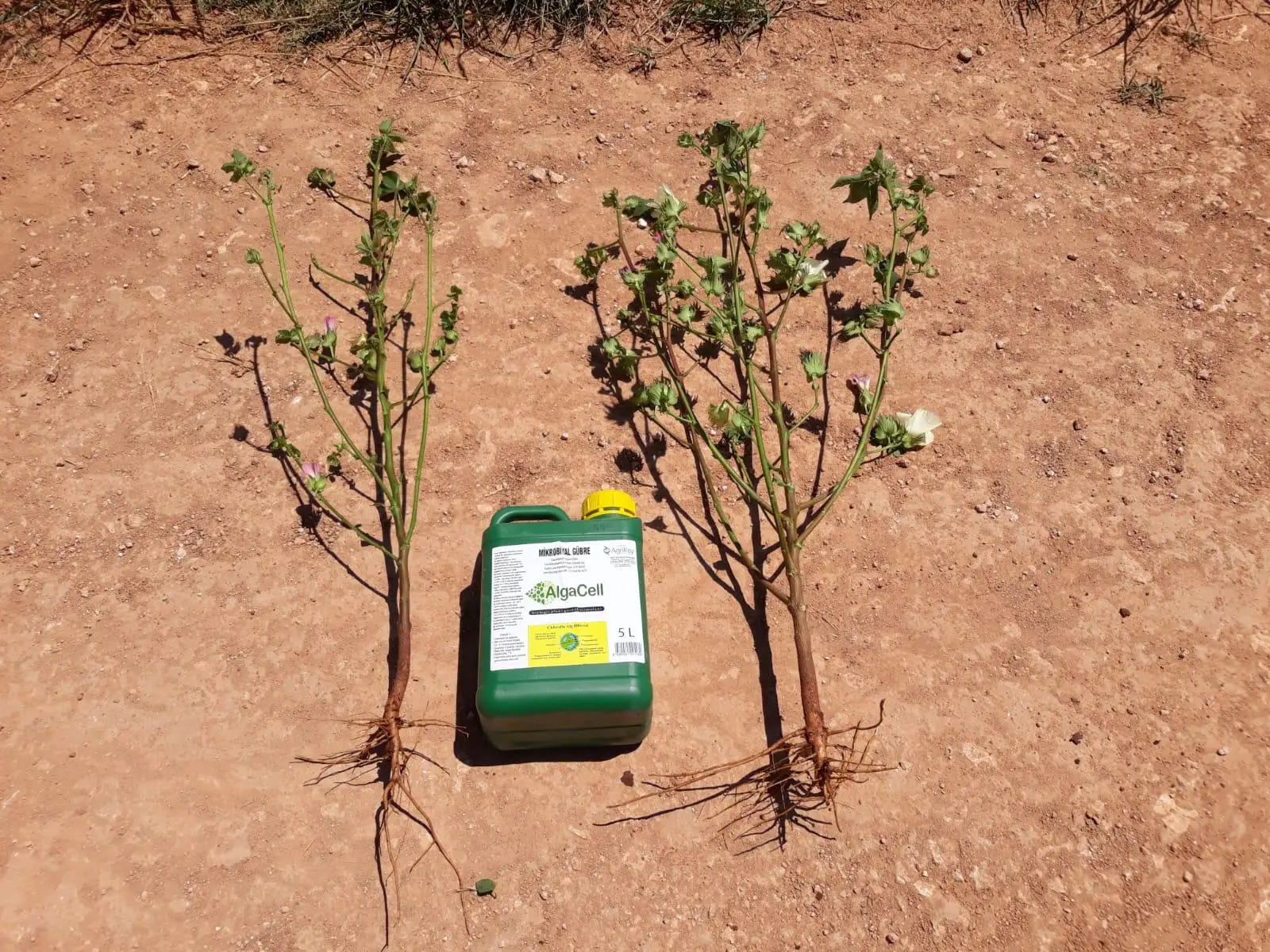 Green Tech international -   Green Tech copper-Mix  - Liquid Fertilizer - Liquid Seaweed - Biostimulants - Organic Fertilizer