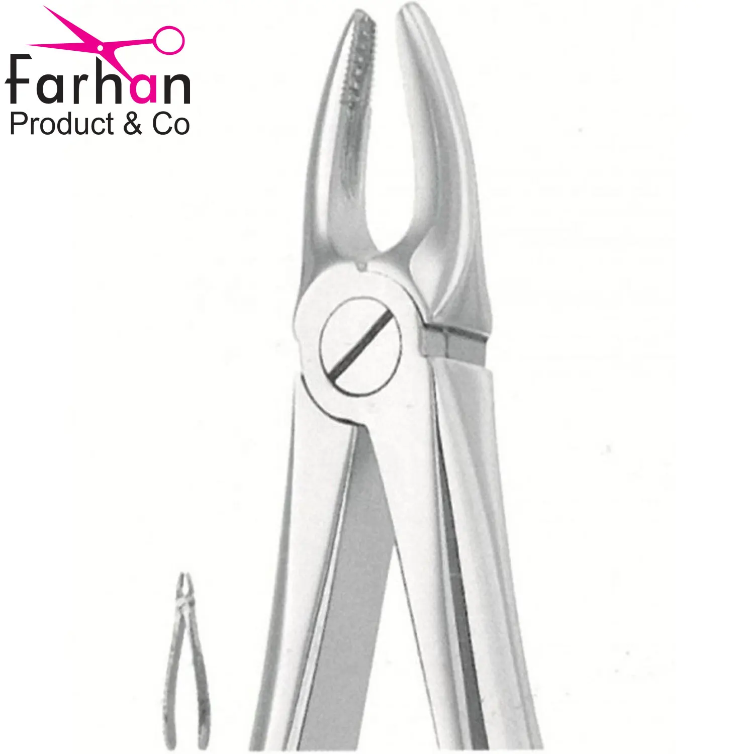 Tooth Extractor Forceps Extraction Dental Surgical Forceps English Pattern Forceps