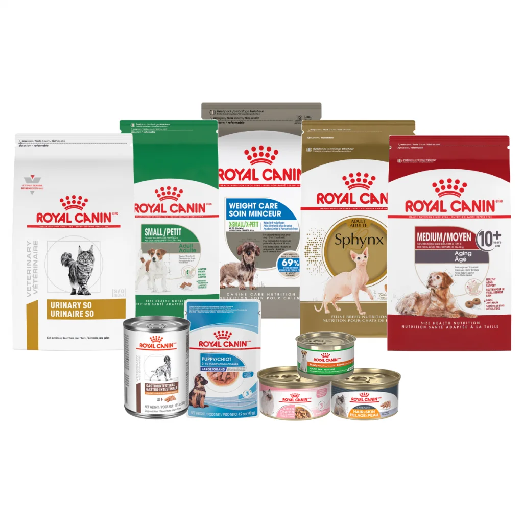 Factory supply Royal Canin Maxi Kitten Food
