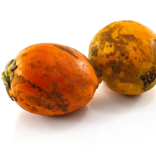 Premium Quality New Arrival Betel Nuts Packing For 50kg / 60kg Jute Bag Hot Sealing From Thailand And Feet For Asia Market