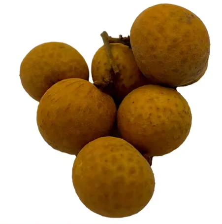 Organic Fresh Longan Fruit/Dried Longan Fruit