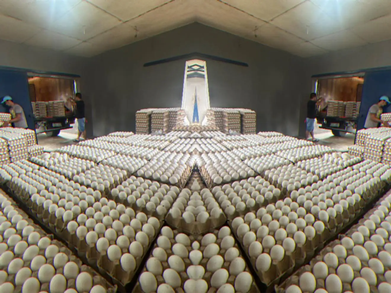 Organic Farm-Fresh White Shell Chicken Fertilized Hatching Eggs Table Fresh Preserved