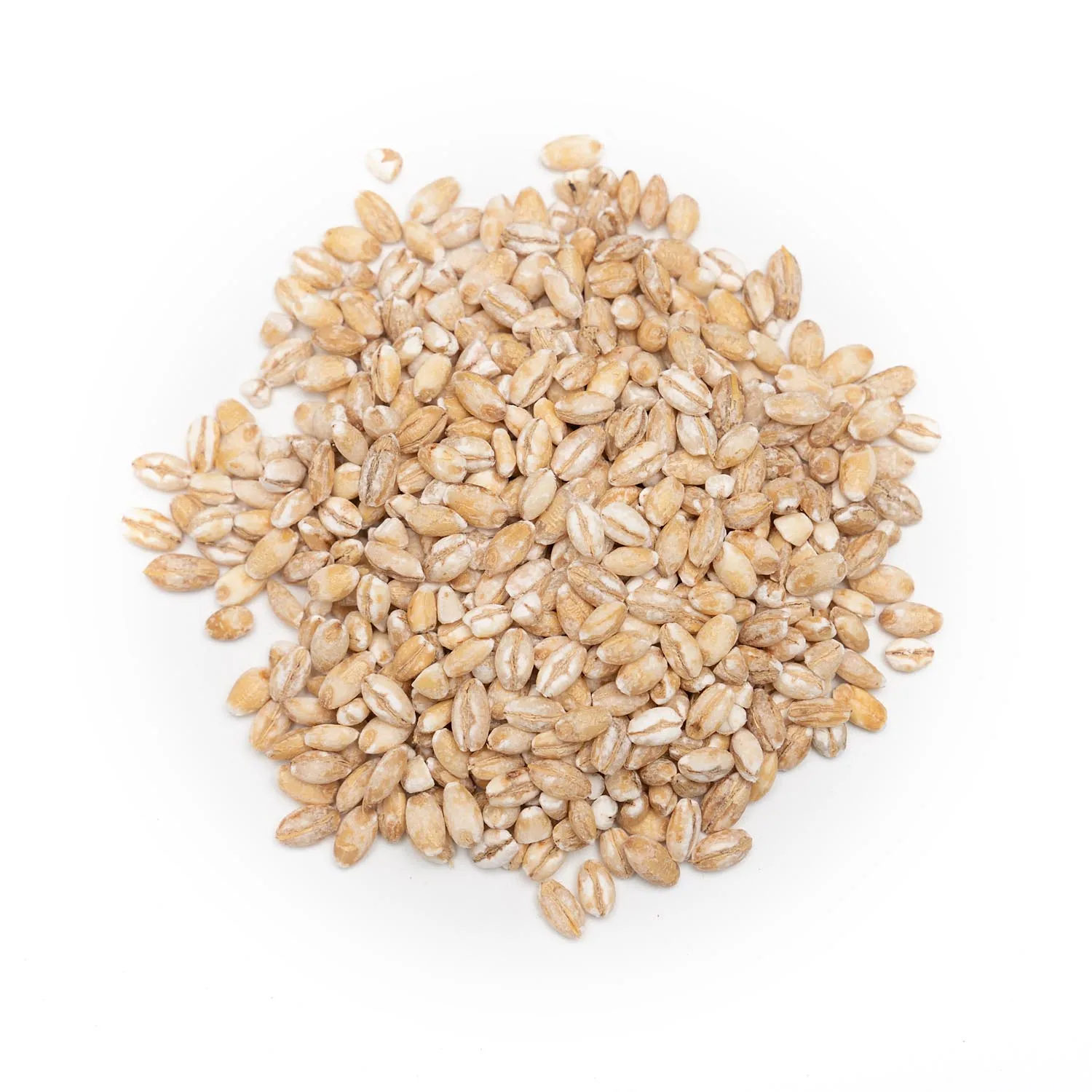 High Quality Malted Barley Animal Feed Grains Bulk Pure Natural Ready For Export Malted Barley for All Livestock Needs