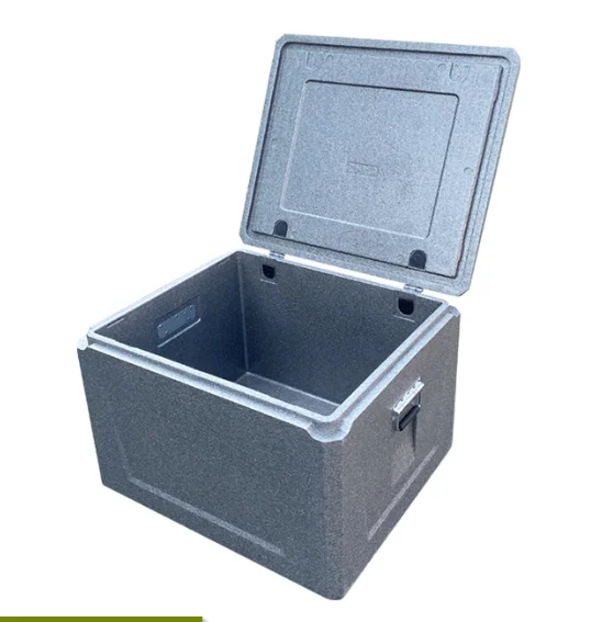Camping Cold Chain Box Portable Outdoor Camping Cooler Medical Vaccine Blood Transport