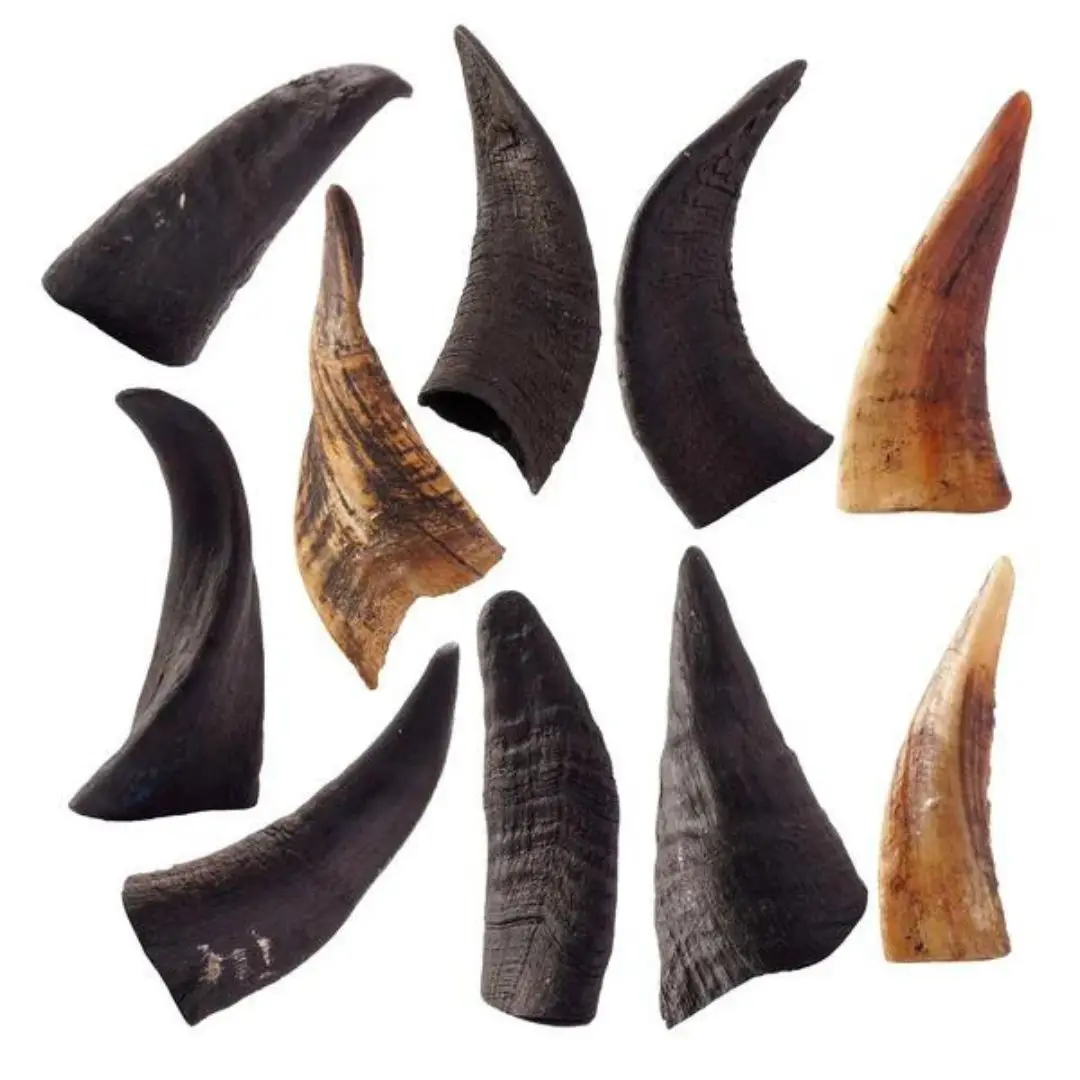 Organic Free Range Goat Horn Dog Chew Treats Natural Unpolished Sheep Ram Horns Environmentally Friendly Rope Style Toy for Dogs