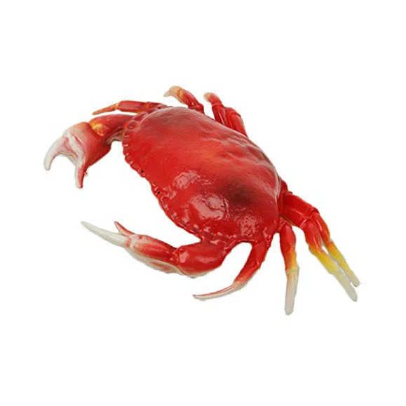 Crab ,Red King Crab ,Live and Frozen Red king crab