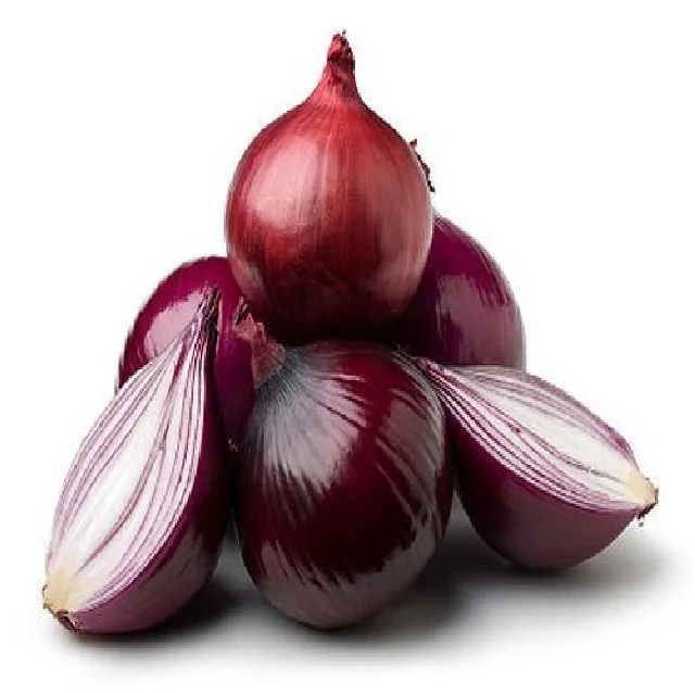 Hot Sale Cheap Price White Normal 5.0 cm 1kg x10 Carton Fresh Wholesale Price Buy Indian Fresh Onion 25 metric tons (Min. order)