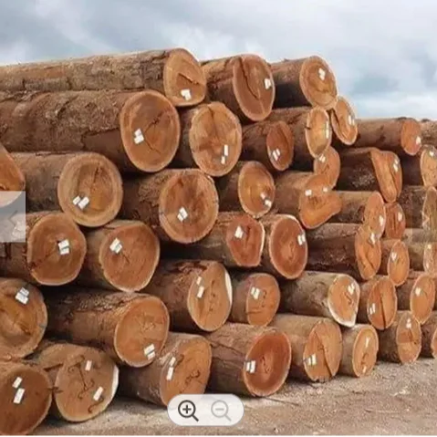 Буковая древесина/пиловая ель, деревянные бревна, Сосновая древесина