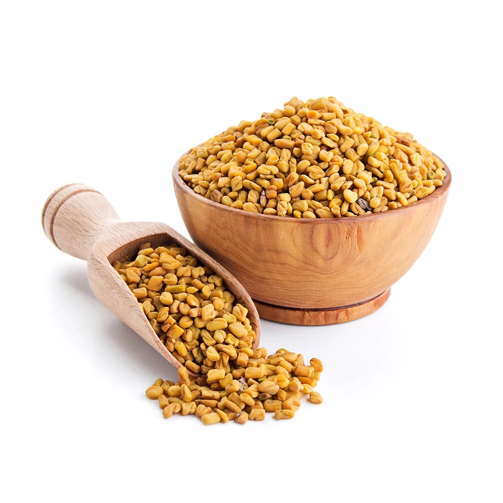 Wholesale Indian Spices Fenugreek Seeds Whole Yellow Color Round Shape Fenugreek Seeds Origin From India