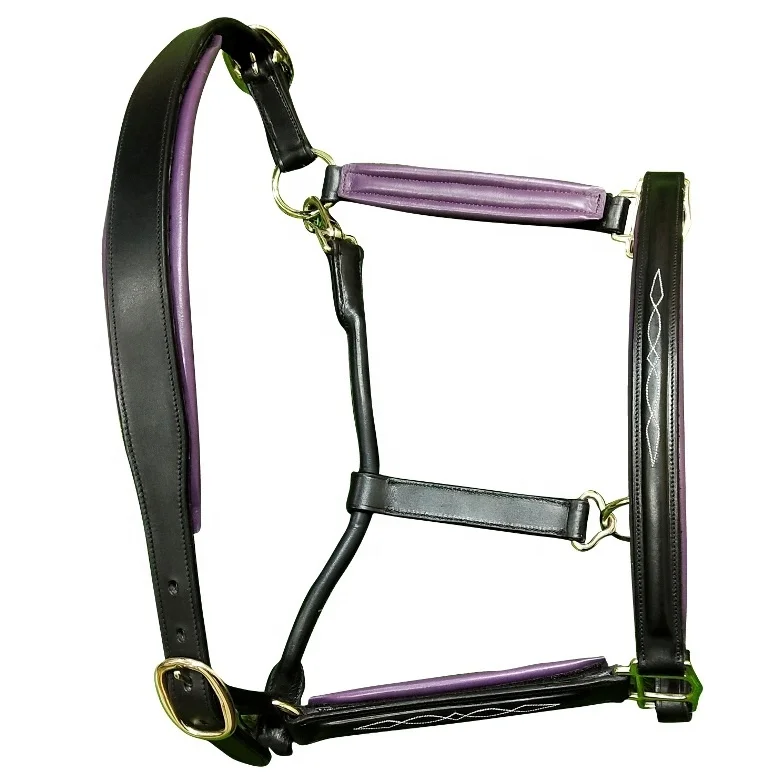 High Quality Outdoor Sports Horse Riding Equipment Adjustable Horse Halter Horse Bridle New Nylon Head Collar