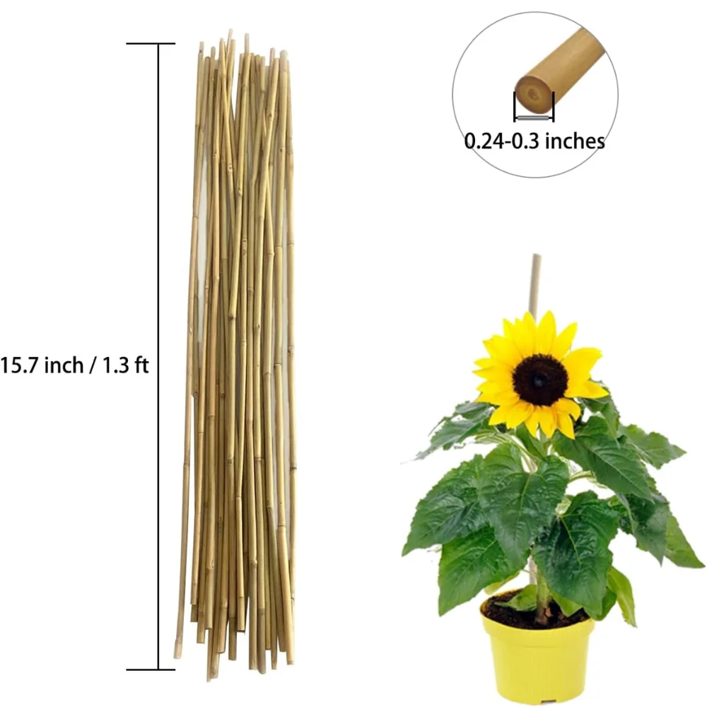 Оптовая продажа вьетнамский бамбуковый шест натуральный для строительства высокое качество хорошая цена использования в сельском хозяйстве