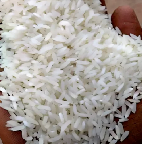 IR64 25% Broken Raw White Rice Indian Non Basmati Best Quality Offers Reasonable Price 100% Pure Natural Best Quality OEM Offer