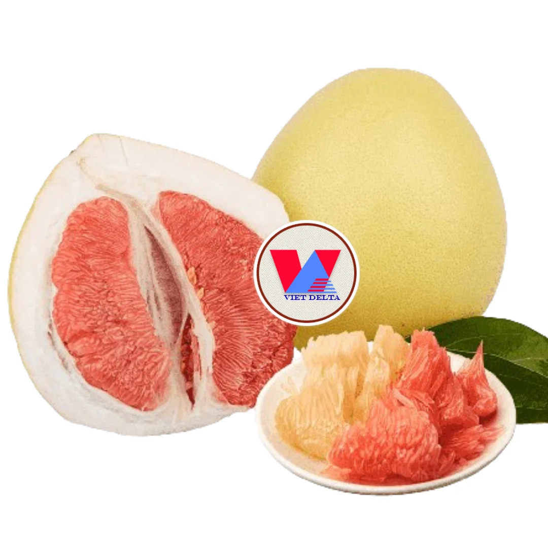 Самые Популярные фруктовые продукты POMELO содержат много питательных веществ поддерживает улучшение здоровья высокое качество по низкой цене