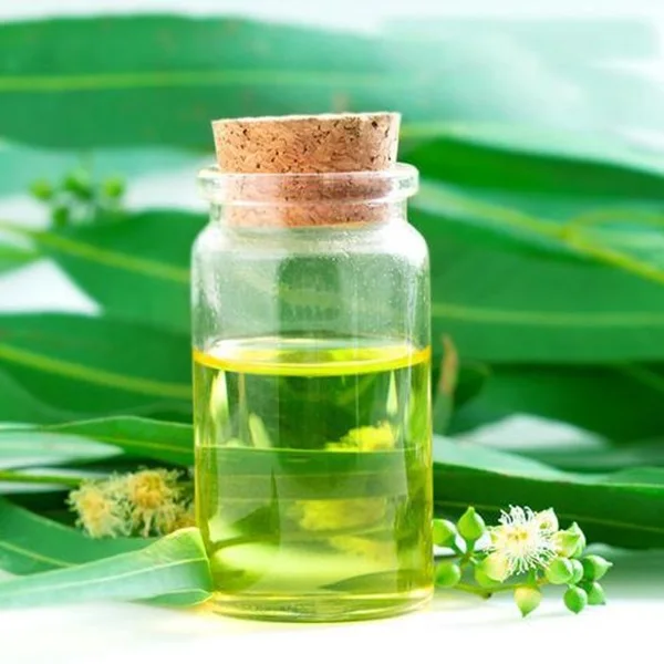 Customized Packaging Eucalyptus Essential Oil 10ml Bottle for Skin Use Direct From Manufacturer Bulk Supplier