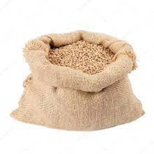 PREMIUM QUALITY whole grain wheat for sale wheat grain