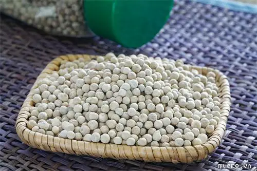 White Pepper - Factory Price 620 GL Clean From Vietnam