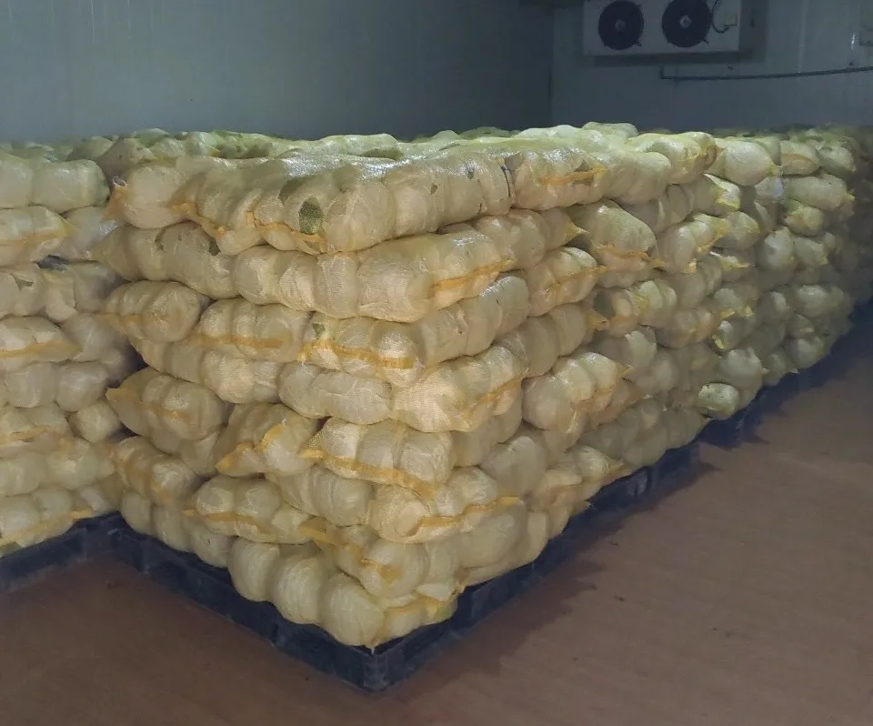 2022 New Crop Fresh Cabbage With Low Price And High Quality from Vietnam