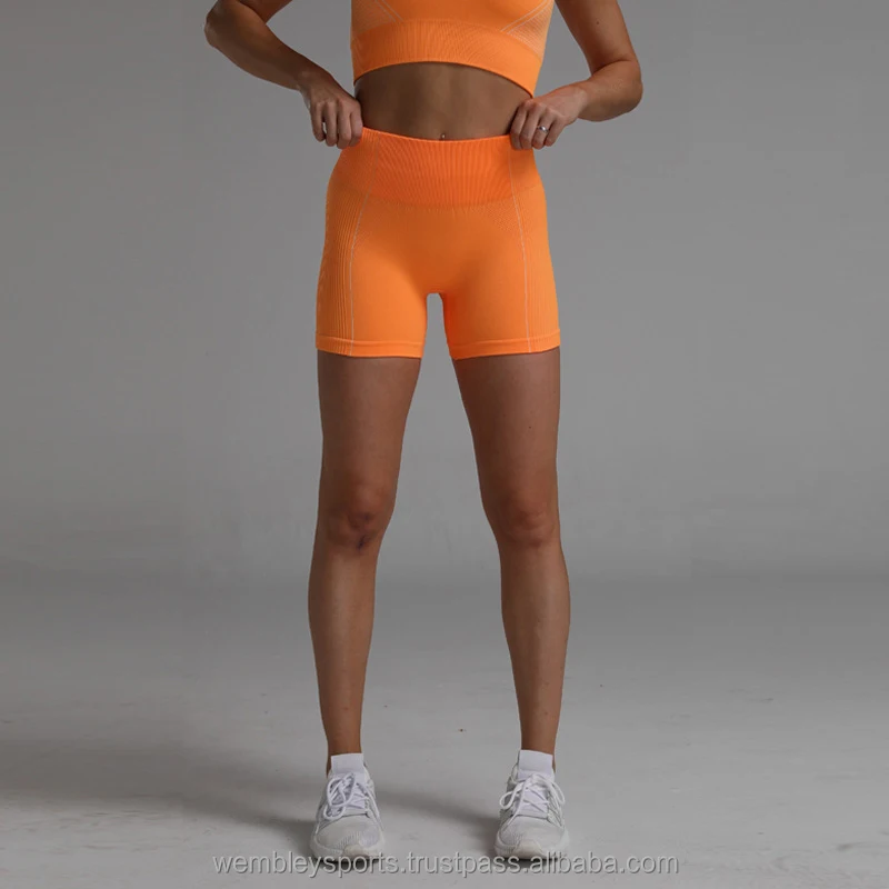 Quick Dry Women Gym Shorts Sport Biker Shorts Women High Waisted Short Leggings Ladies Biker Workout Shorts