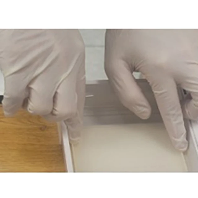 Gelzeit Pre-Cast Agarose Gel To Check DNA And PCR Results Through Electrophoresis