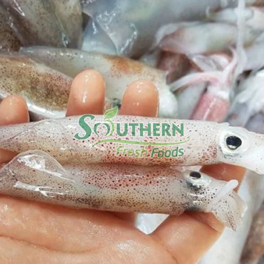 Supplier nature High content squid Frozen feature calamari Calamari Loligo Squid Wild Caught SFF from Vietnam