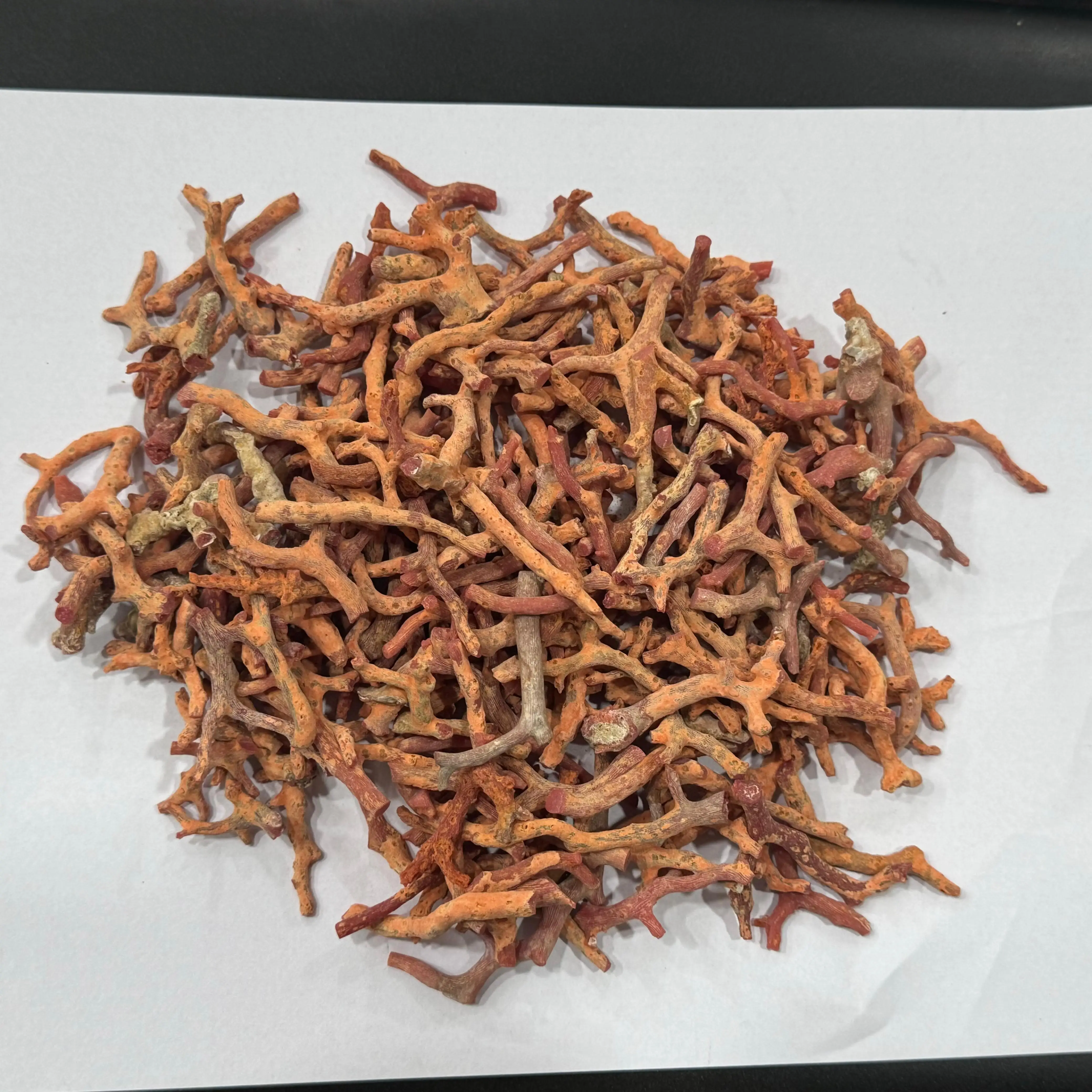 Natural Italian Coral Rough Sticks High Quality Italian Sea Red Coral Raw Sticks For Sale bulk product