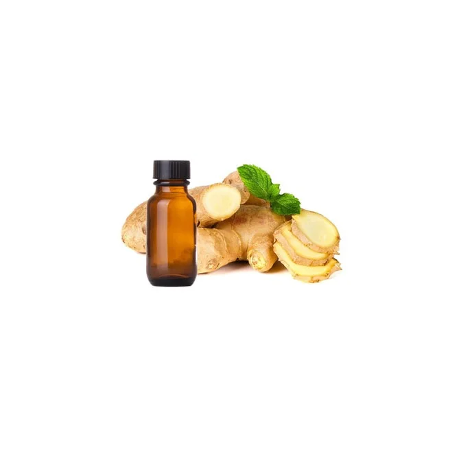 Whole Ginger plant extract ginger oil price