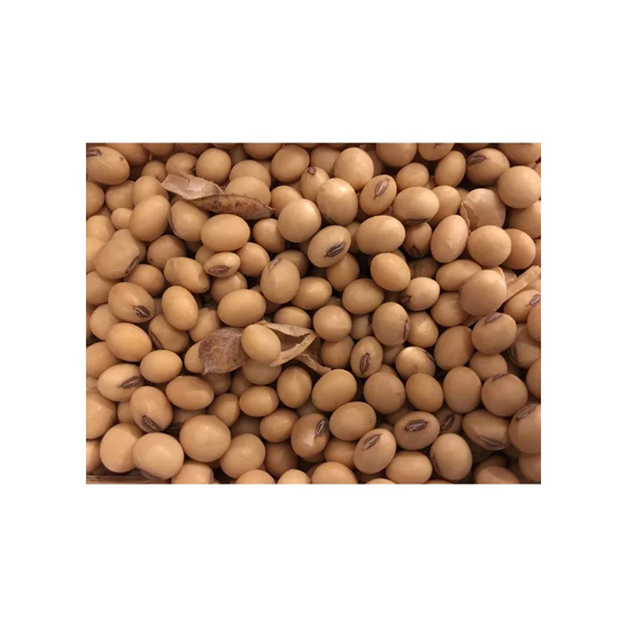 Non GMO Soybeans For Sale