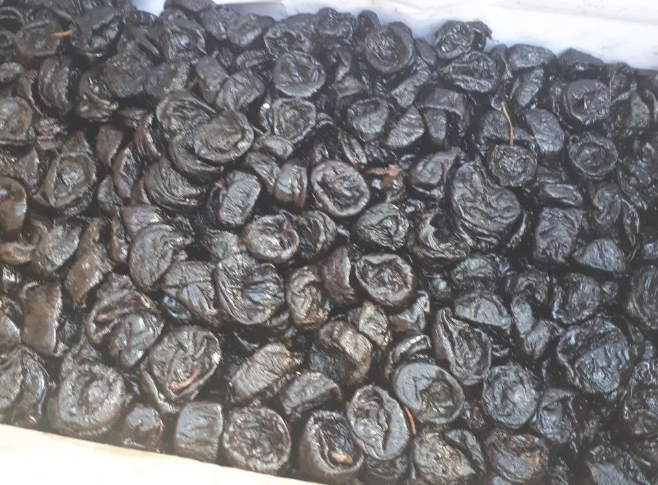 Wholesale Natural Organic Top Grade Pitted Prunes Balonchik Bulk Dried Prunes Dried Fruit From Uzbekistan
