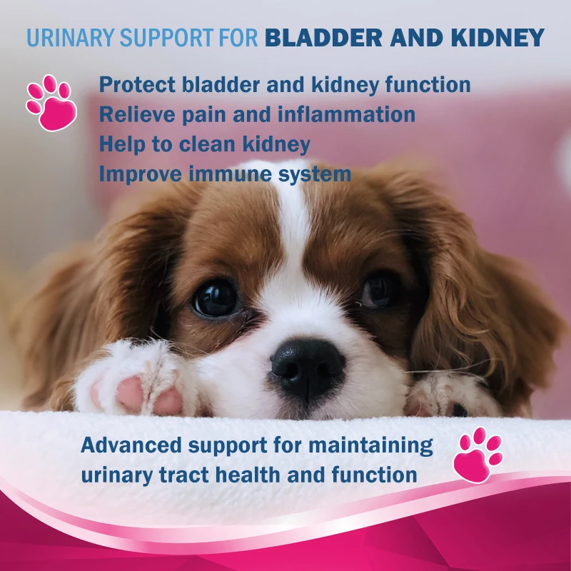 Natural Urinary Bladder Health Supplement Urinary Tract Cranberry Dogs Cats Urinary Tract Infection Treat